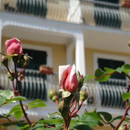 Hotel Miranda