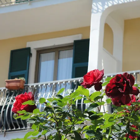 Hotel Miranda 3*