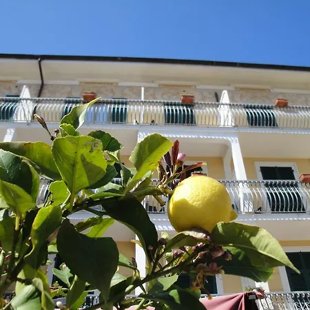 Miranda Hotel 3*